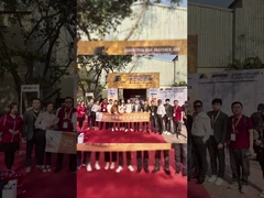 Carbide Punches And Dies For Rectangular Die Customized